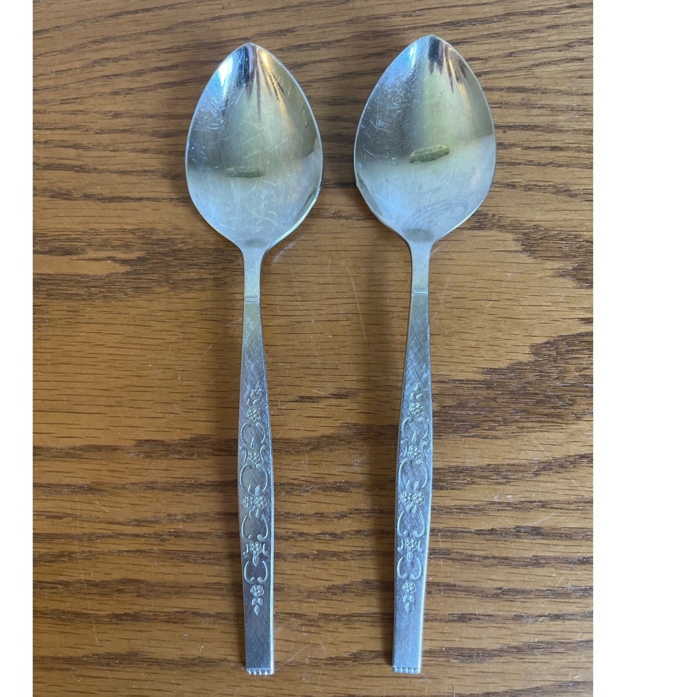 SPANADA Stainless Retro Mid Century Oneida Wm. A Rogers Two Soup Spoons.‎